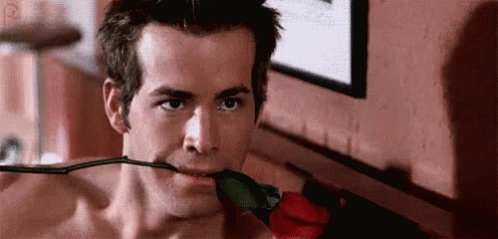 05C82542-6399-49CB-9C08-BD4480D95527-27124-0000102DB103F021