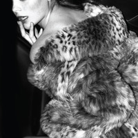 [NEW:] “Like a Stranger” by KITTEN