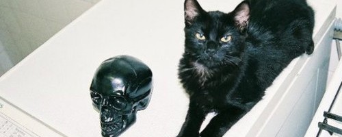 #TBT: “Snow White” by Labyrinth Ear